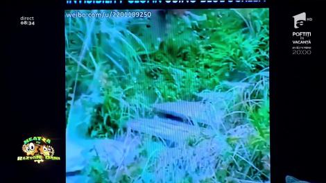 Smiley News! Pelerina lui Harry Potter a devenit realitate