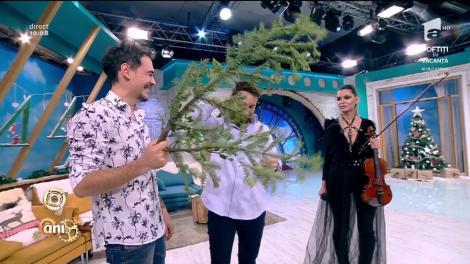 Râzi cu lacrimi! Dani Oțil, "pleznit" în direct cu o creangă de brad