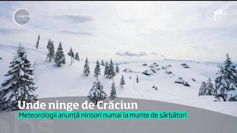 Iarna vine după Anul Nou. Meteorologii anunță ninsori numai la munte de sărbători