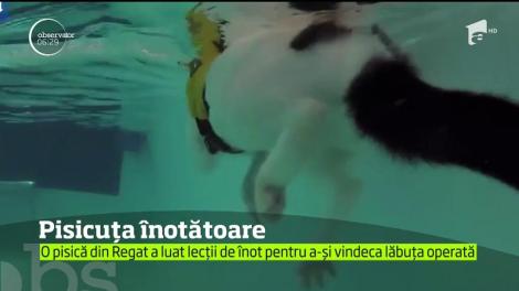 O pisicuţă din Regatul Unit a devenit vedetă pe reţelele de socializare după ce le-a dovedit tuturor că nu îi este frică de apă