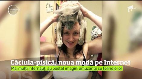 Mai nou, pisicile țin de cald. Căciula-pisică a devenit deja o modă pe Internet