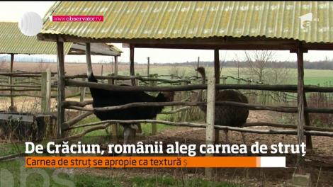 De Crăciun, tot mai mulți români aleg carnea de struț