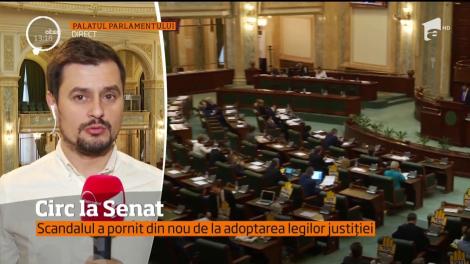 Este circ la Senat. Adoptarea legilor justiţiei a generat un scandal la şedinţa condusă de Călin Popescu Tăriceanu