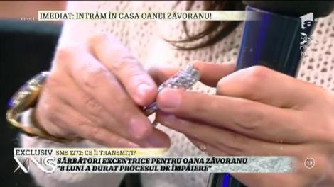 Wow! Cum arată Marty, motanul împăiat al Oanei Zăvoranu: ”Este o operă de artă. Ochii i-am comandat în America”