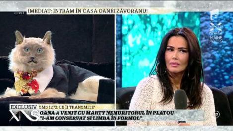 Oana Zăvoranu, extrem de mândră de cum a fost împăiat motanul ei favorit: ”Inima lui Marty este conservată într-o ceară specială!”