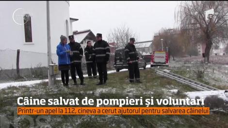 Cu multă muncă şi răbdare, un câine a fost salvat de pompierii dejeni, dar şi de voluntari
