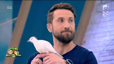 Magicianul Paco şi papagalul Fido, număr de senzație în platoul Neatza