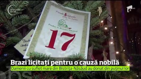 Brazi licitaţi pentru o cauză nobilă, în Bistriţa