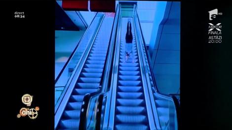 Smiley News! Curs de educație rutieră cu un câine