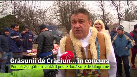 Primarii din Argeș au sacrificat porci în scop caritabil!