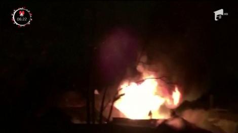 Mai multe animale au murit, după ce un incendiu a cuprins Grădina Zoologică din Londra