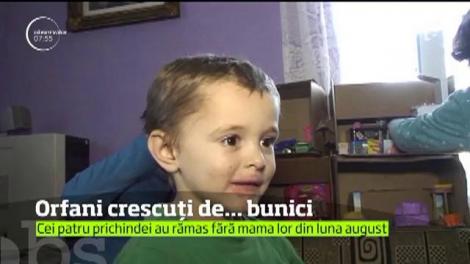 Doi bunici din Vâlcea învaţă să fie din nou părinţi