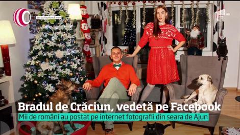 Bradul de Crăciun, vedetă pe Facebook