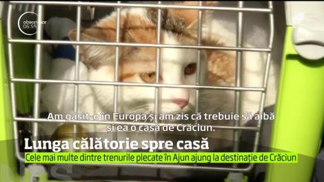 Pe mulţi români Crăciunul îi prinde într-un mijloc de transport