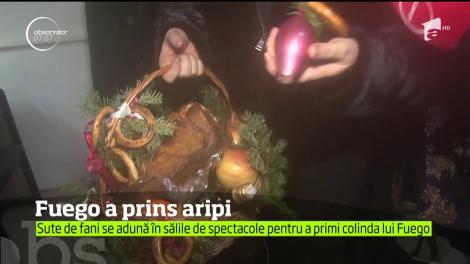 Moment uluitor. S-a întâmplat la un concert Fuego. Fanii nu au realizat ce se petrece cu idolul lor!