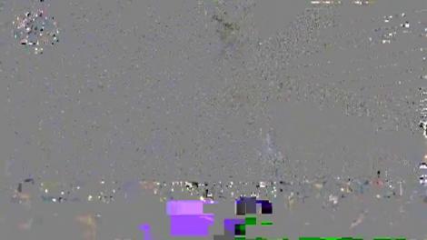 Competiția celor mai frumoși brazi de Crăciun din lume