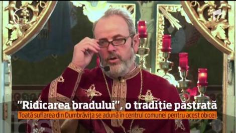 ”Ridicarea bradului”, o tradiţie din Ţara Bârsei, păstrată de sute de ani