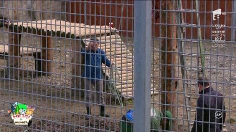 Copiii din tabără lui nea Mărin merg la Grădina Zoologică din Brașov