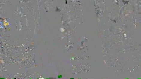 Împăcare? Dar de unde! Vârciu și-a luat-o iar de la "tăticuțul"! "Cel mai prost dinozaur de pe planetă este Mărin Onotronus"