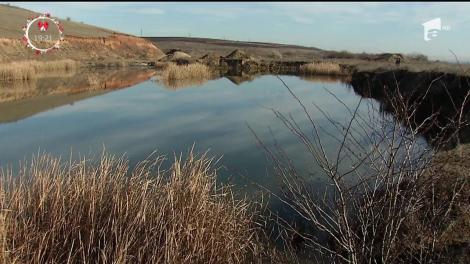 Dosar penal pentru șeful poliției rutiere din municipiul Giurgiu