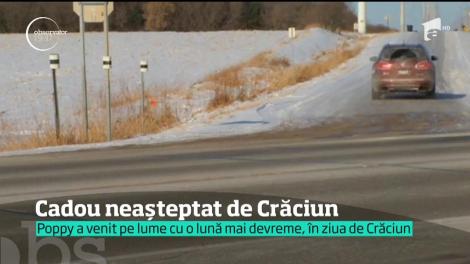 Cadou neașteptat de Crăciun pentru doi tineri din Statele Unite