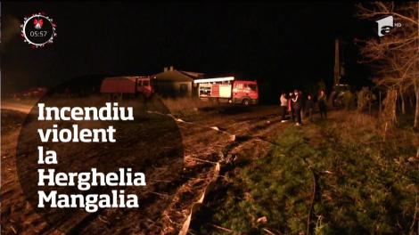 Observator TV 29/12/2017 - Ştirile zilei într-un minut