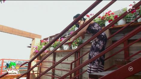 Râzi cu lacrimi! Margherita de la Clejani a făcut prăpăd în bucătărie