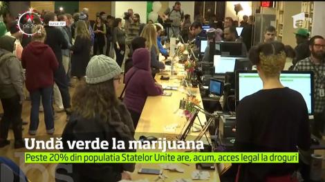 Americanii din California au undă verde la consumul de marijuana. Statul american a legalizat vânzarea de cannabis