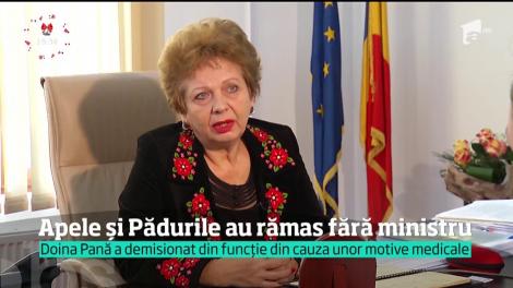 Doina Pană, ministrul Apelor şi Pădurilor, a demisionat din funcţie