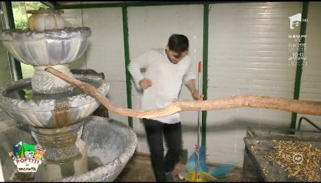 Liviu Vârciu, atacat de un papagal nervos: ”Nu destul că sare la mine bătrânu', acum sare și alt papagal...!”