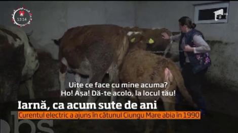 În satele de munte din judeţul Hunedoara, oamenii ştiu din străbuni că pregătirile pentru anotimpul rece se fac din vreme