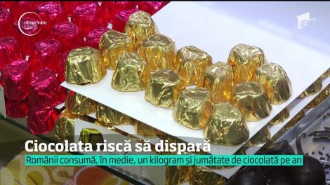 Ciocolata riscă să dispară! Temperaturile crescute și lipsa precipitațiilor influențează producția de cacao