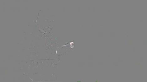 Casa lui Gică Hagi, prădată de hoți