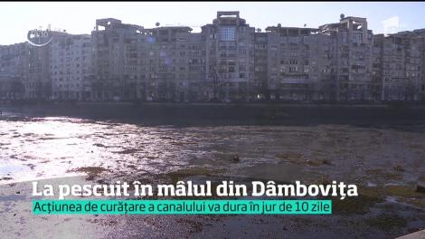 Dâmbovița a fost secată pentru a fi curațată de mâl, scoici și gunoaie. Bucureștenii trebuie să suporte mirosul de nămol şi peisajul dezolant din centrul Capitalei