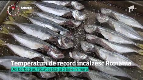 Temperaturi de record încălzesc România