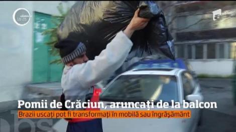 Pomii de Crăciun, aruncați de la balcon