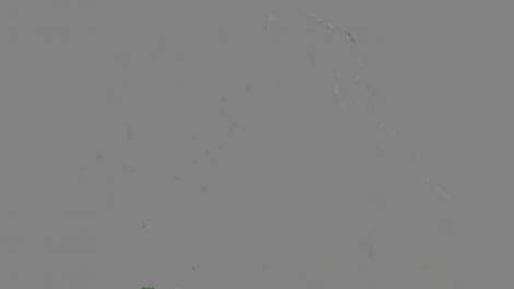 Prin muncă, Theo Rose vrea să își îndeplinească toate visurile: "O să ajung acolo unde îmi doresc"