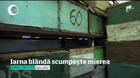 Apicultorii privesc cu &icirc;ngrijorare la temperaturile din termometre. Vom avea miere puţină şi scumpă &icirc;n acest an, din cauza iernii prea bl&acirc;nde