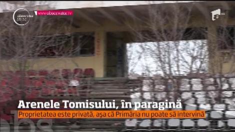 Arene Tomis, &icirc;n paragină