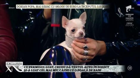 Daniela Crudu a primit cadou un căţel de 2.000 de euro!