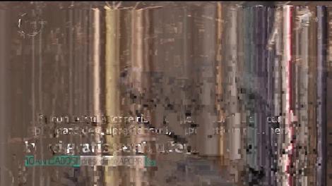 După Prima Casă, începe şi programul "Primul Porc". Fermierii vor primi gratis porci din rasele Mangaliţa şi Bazna