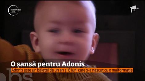 Vreau să ajut! Adonis are nevoie de trei operații