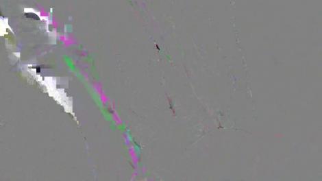 Mâncare otrăvită aruncată în parc, cu scopul de-a omorî câinii vecinilor! Polițiștii au anunțat cine are dreptate în acest caz