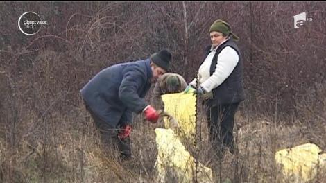 Peste 500 de kilograme de oase, găsite pe malul râului Jiu