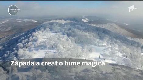Unul dintre cele mai frumoase peisaje de pe planetă, creat de zăpadă şi chiciură