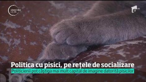 Politicienii care și-au luat animale de companie şi au umplut paginile de socializare cu poze