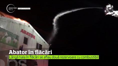 Incendiu de proporţii la un abator din judeţul Prahova. Hala de 1000 de metri pătraţi a fost mistuită de flăcări uriaşe!