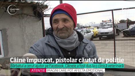 Imagini șocante! Poliţiştii din Constanţa încearcă să dea de urma unui pistolar. În amiaza mare, a împuşcat un câine