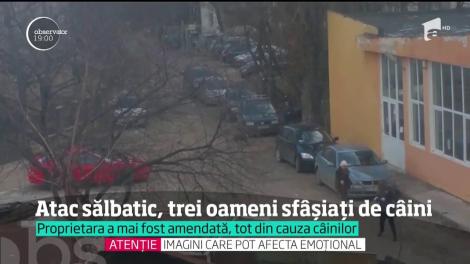 Imagini șocante! Atac sălbatic în centrul oraşului Iaşi. Doi câini au mutilat un bărbat, alte două persoane au ajuns la spital