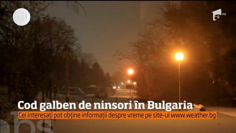 Cod galben de ninsori în Bulgaria